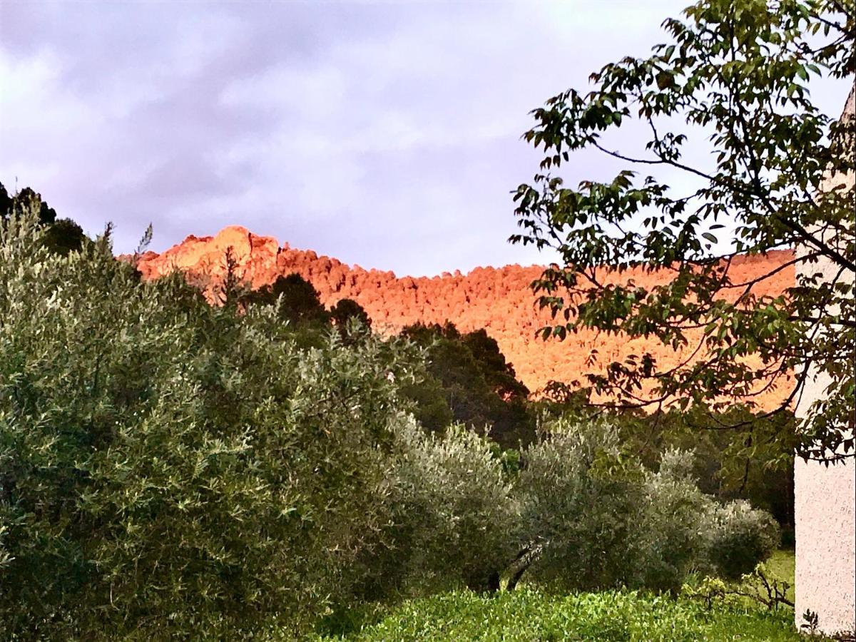 Casa Rural Cortijo La Ajedrea Siles Eksteriør billede