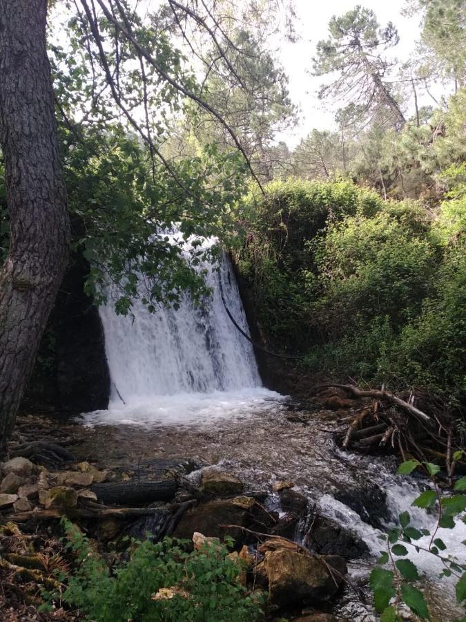 Casa Rural Cortijo La Ajedrea Siles Eksteriør billede
