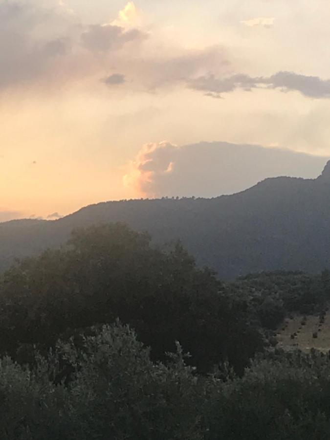 Casa Rural Cortijo La Ajedrea Siles Eksteriør billede